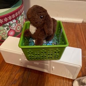 American Girl bunny Julie’s Collection